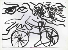 Ximena Ferrer Pizarro