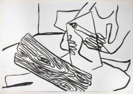 Ximena Ferrer Pizarro