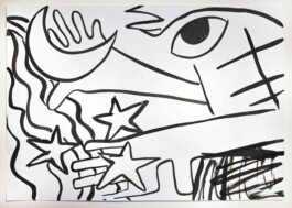 Ximena Ferrer Pizarro