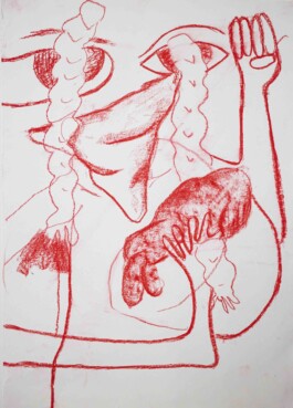 Ximena Ferrer Pizarro