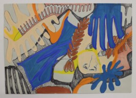 Ximena Ferrer Pizarro