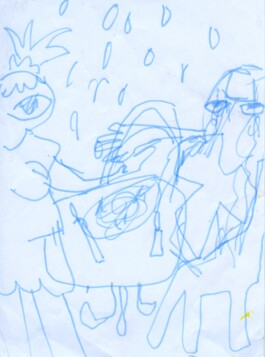 Ximena Ferrer Pizarro