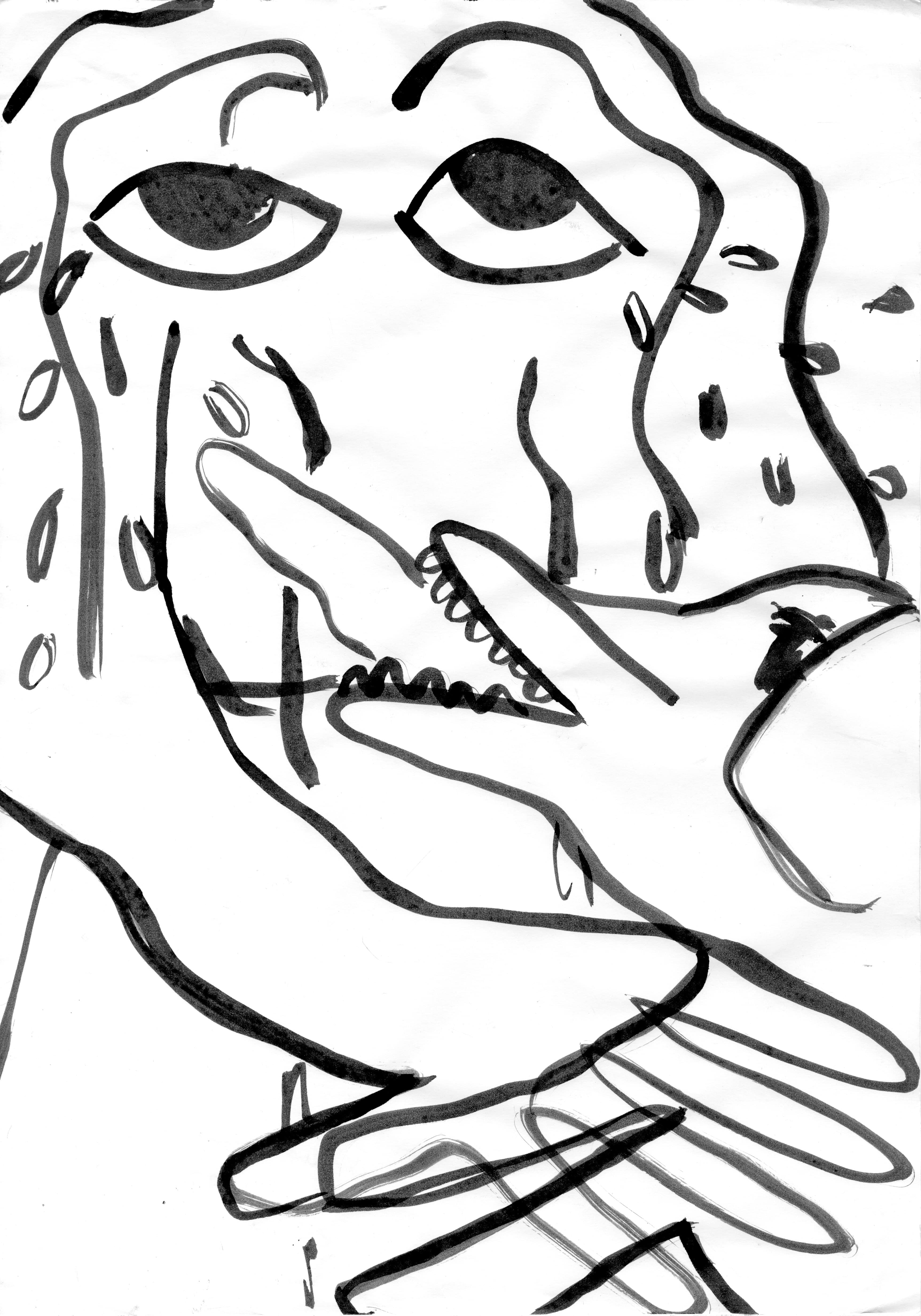 Ximena Ferrer Pizarro